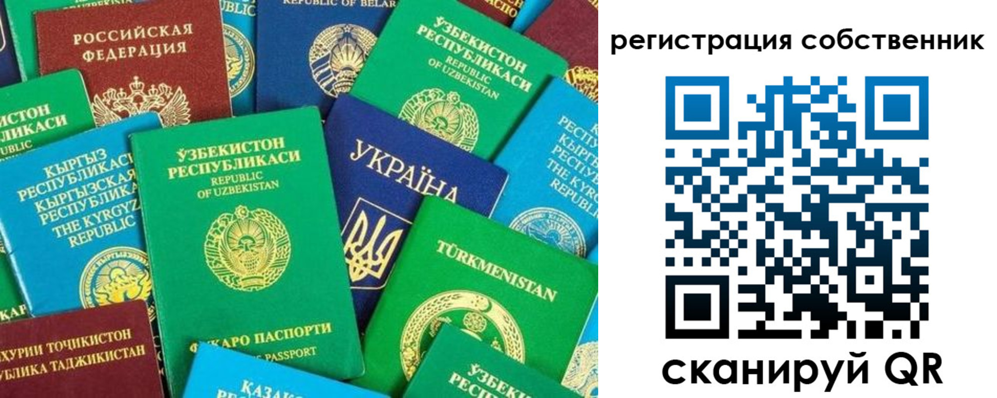 прописка в Электростали